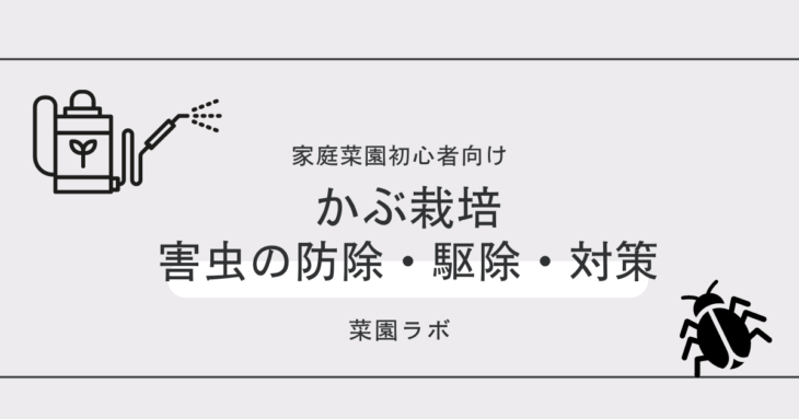 写真あり カブに発生する害虫まとめ 家庭菜園の対策と防除