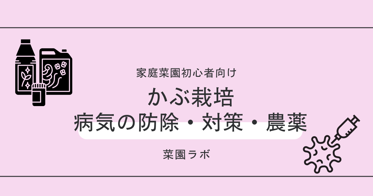 写真あり カブの病気まとめ 家庭菜園の対策 防除 農薬