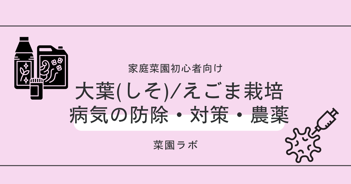 写真あり しそ えごまの病気まとめ 家庭菜園の対策 防除 農薬