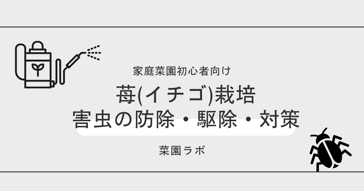 写真あり イチゴに発生する害虫まとめ 家庭菜園の対策と防除