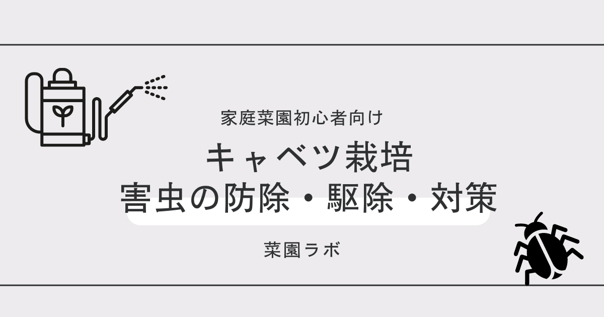 写真あり キャベツに発生する害虫まとめ 家庭菜園の対策と防除