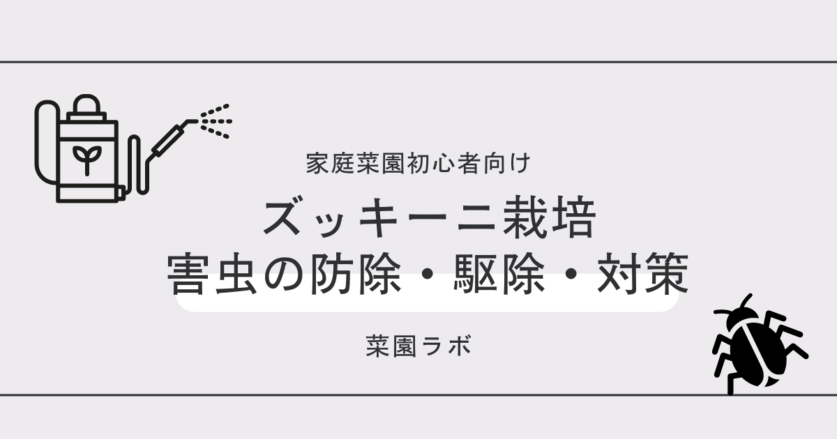 写真あり ズッキーニに発生する害虫まとめ 家庭菜園の対策と防除