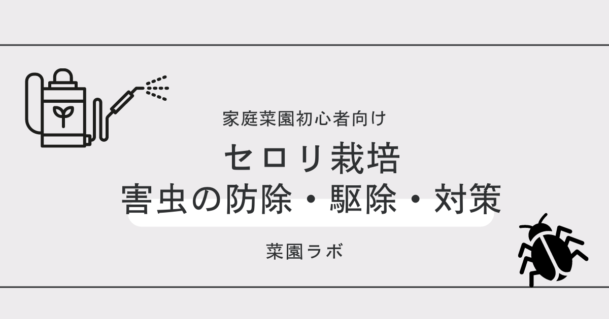 写真あり セロリに発生する害虫まとめ 家庭菜園の対策と防除