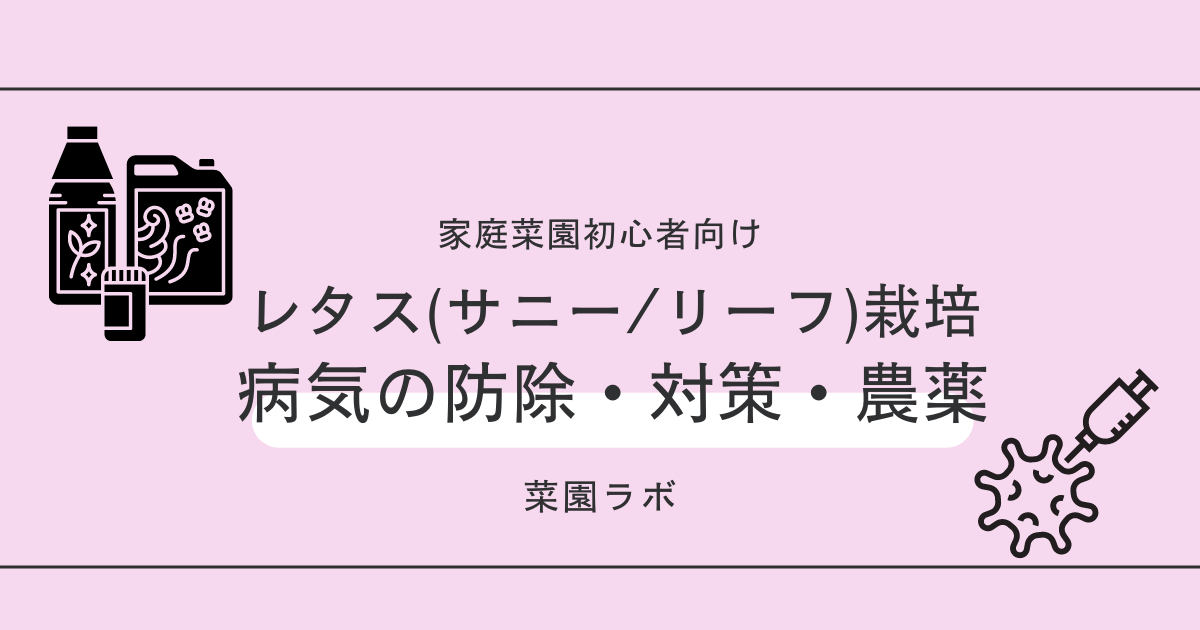 写真あり レタスの病気まとめ 家庭菜園の対策 防除 農薬