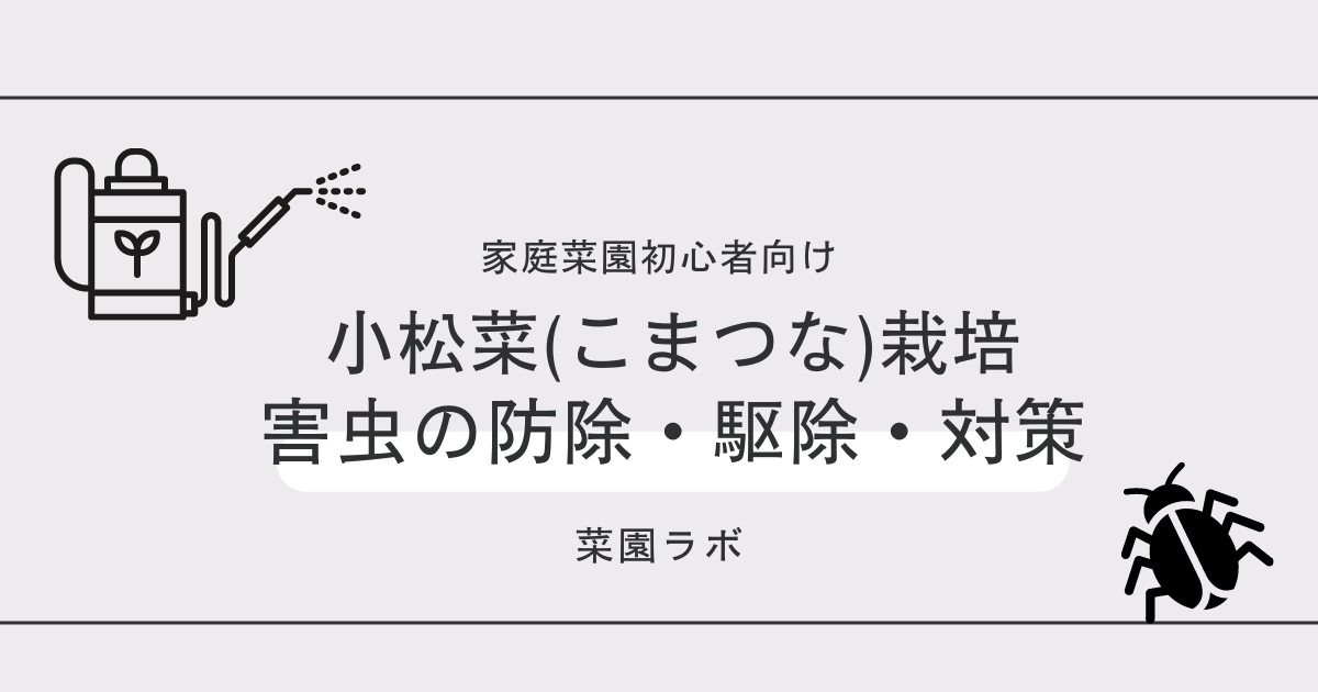 写真あり 小松菜に発生する害虫まとめ 家庭菜園の対策と防除