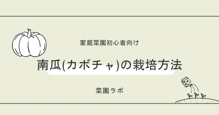 かぼちゃの栽培方法