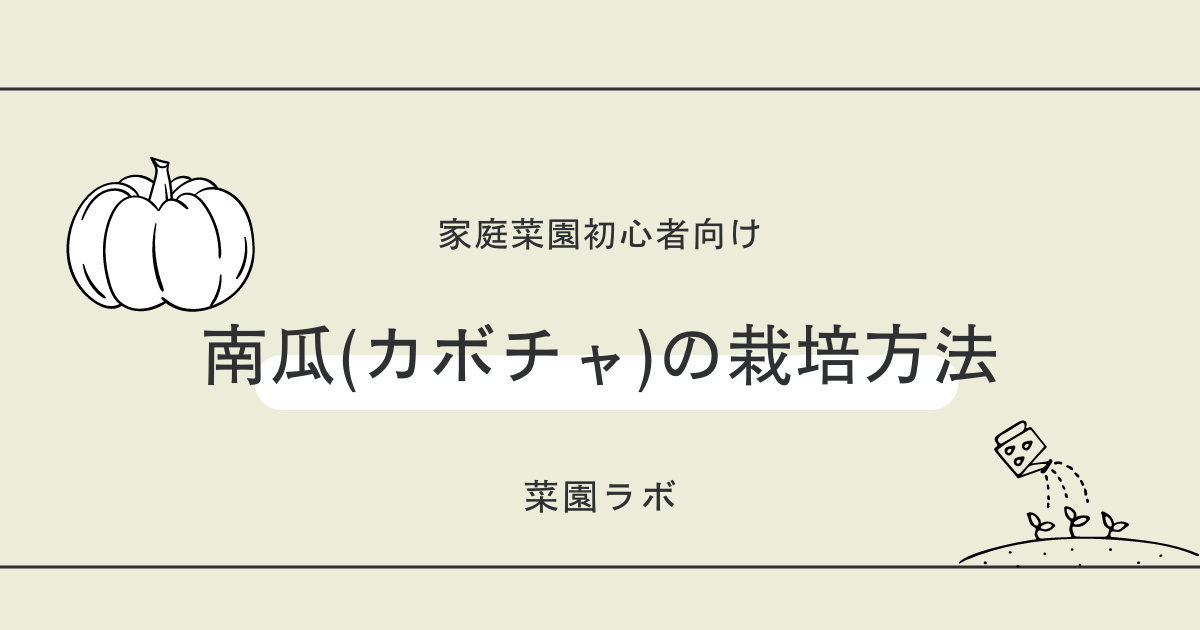 かぼちゃの栽培方法