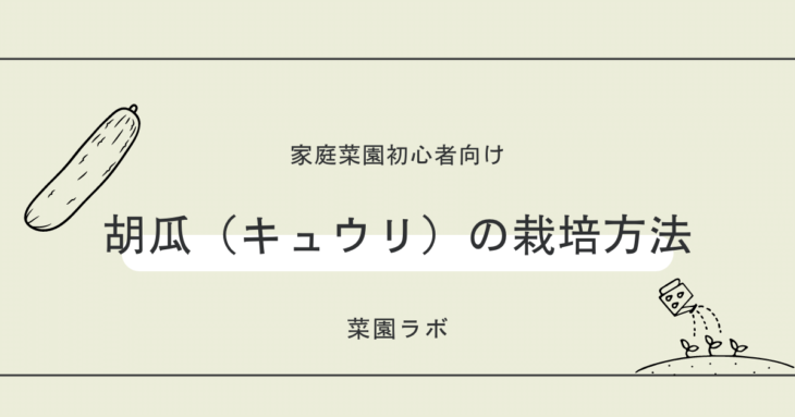 きゅうりの栽培方法