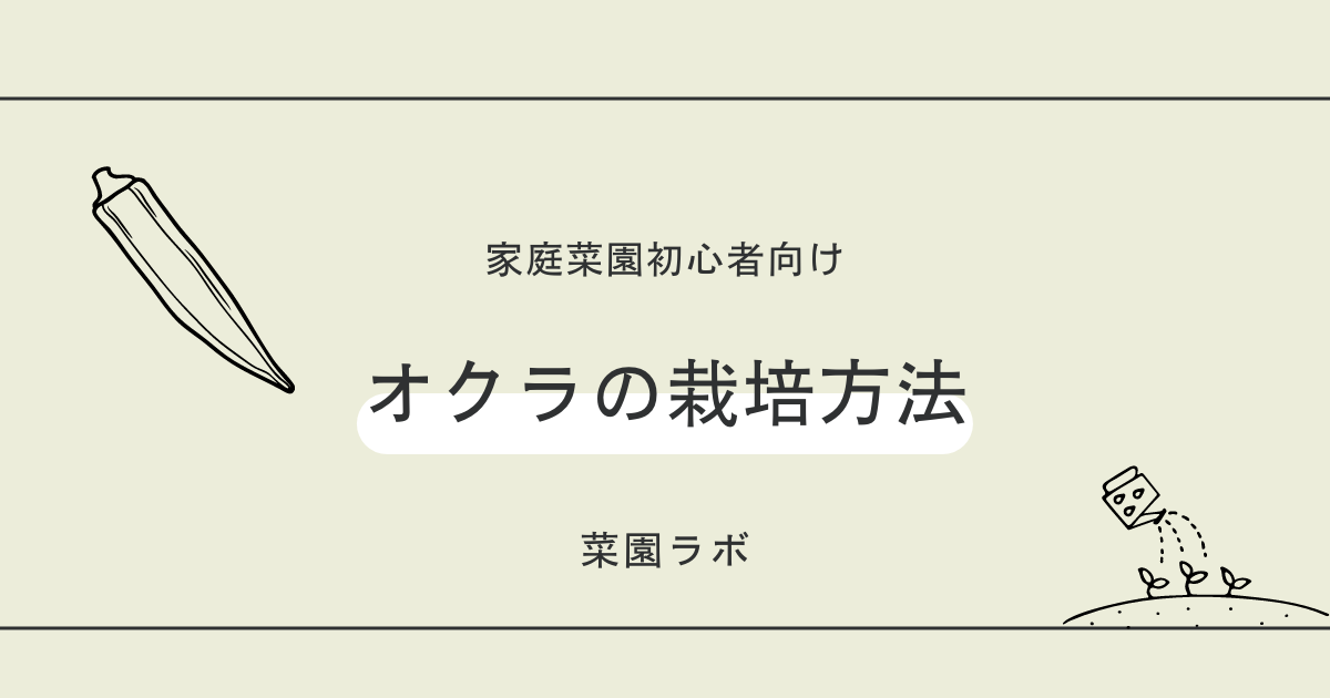 オクラの栽培方法