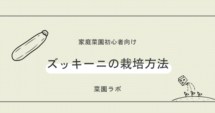 ズッキーニの栽培方法