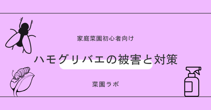 ハモグリバエの被害と対策