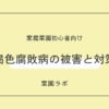 褐色腐敗病（かっしょくふはいびょう）の被害と対策