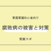 腐敗病（ふはいびょう）の被害と対策