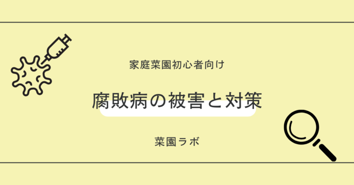 腐敗病（ふはいびょう）の被害と対策