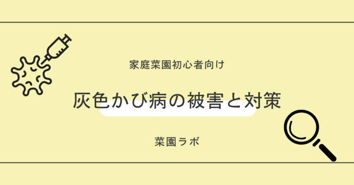 灰色かび病の被害と対策