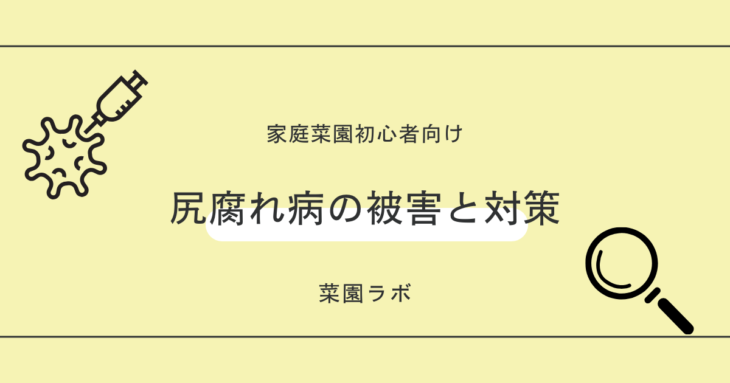 尻腐れ病（しりくされびょう）の被害と対策