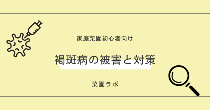 褐斑病（かっぱんびょう）の被害と対策