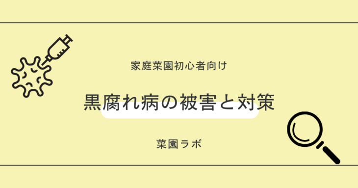 黒腐れ病（くろぐされびょう）の被害と対策