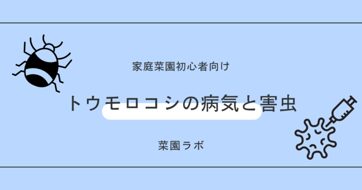 トウモロコシの病気と害虫