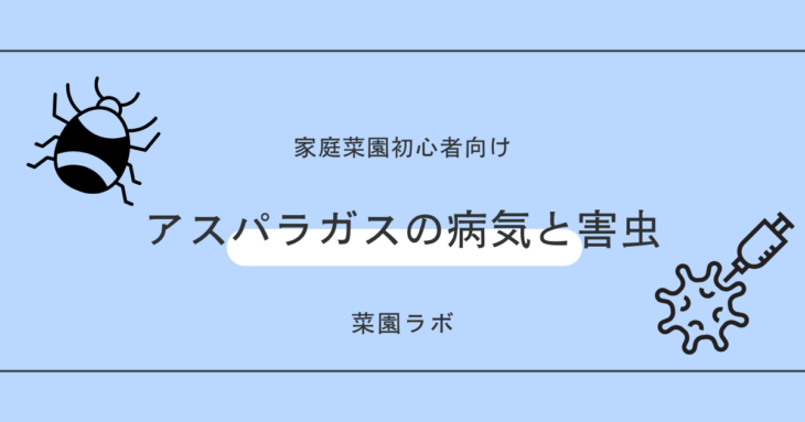 アスパラガスの病気と害虫