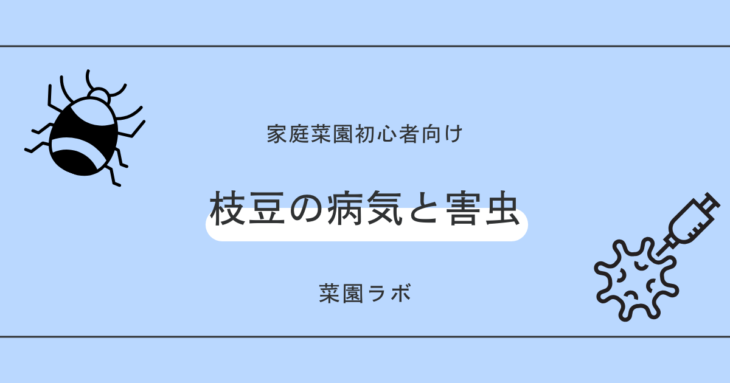 枝豆（エダマメ）の病気と害虫