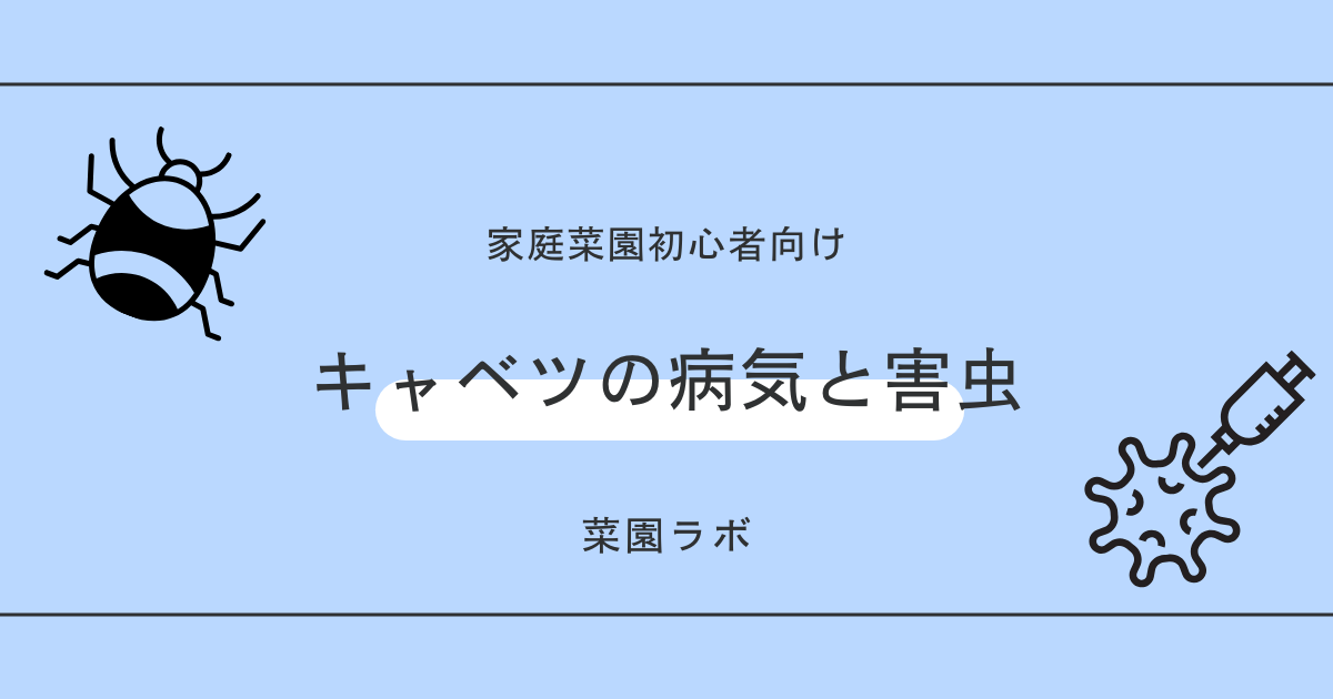 キャベツの病気と害虫