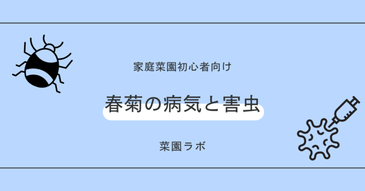 春菊（シュンギク）の病気と害虫