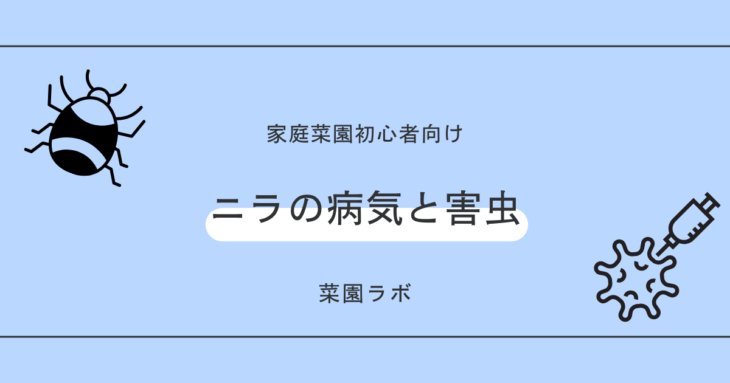 ニラ（韮）の病気と害虫