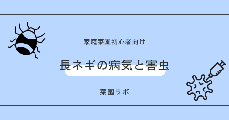 長ネギの病気と害虫