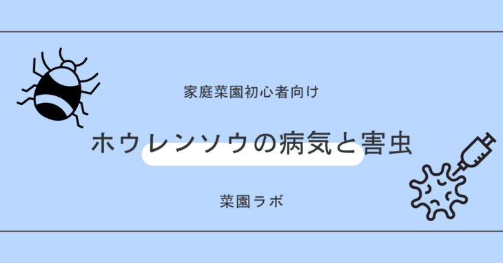 ホウレンソウの病気と害虫