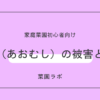 青虫（あおむし）の被害と対策