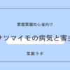 サツマイモの病気と害虫