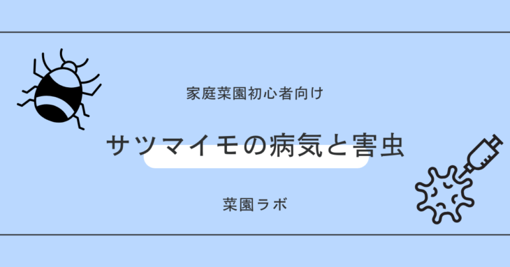 サツマイモの病気と害虫