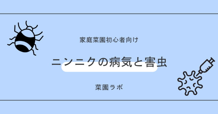 ニンニク（大蒜）の病気と害虫