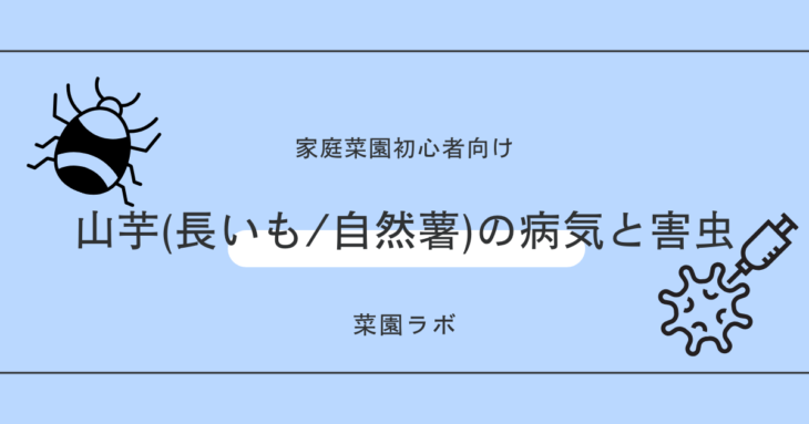 山芋・長いも・自然薯の病気と害虫