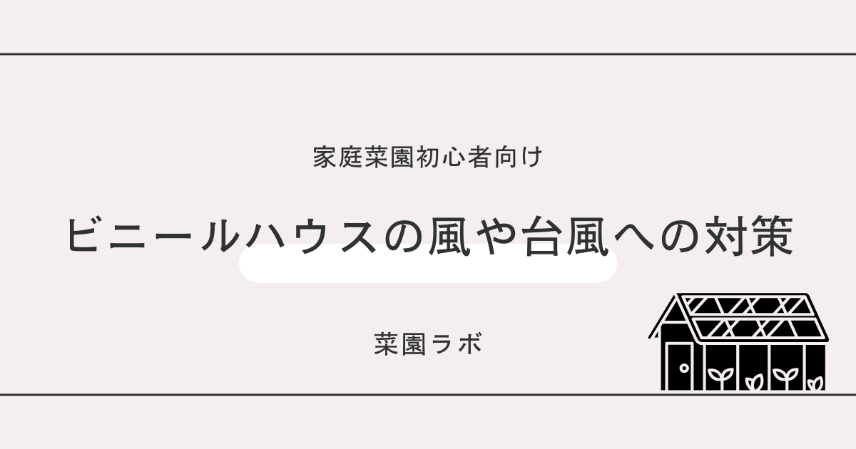 ビニールハウスの風や台風への対策