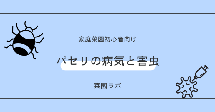 パセリの病気と害虫