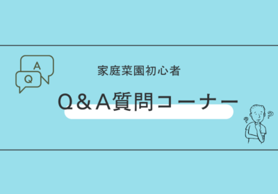 Q＆A質問コーナー
