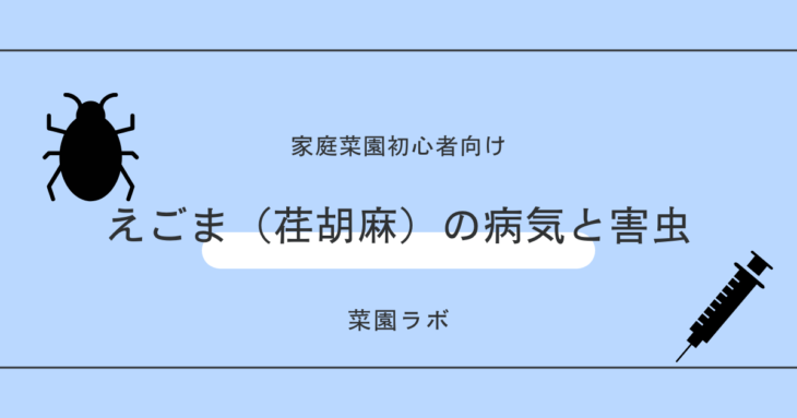 えごま（荏胡麻）に発生する病気と害虫