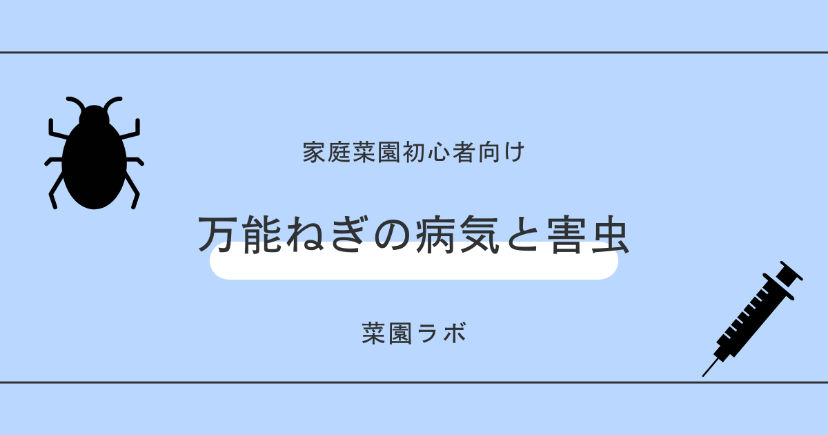 万能ねぎに発生する病気と害虫