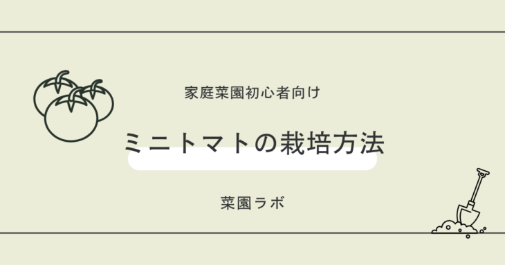 ミニトマトの栽培方法