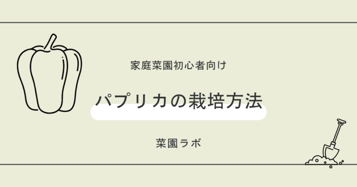 パプリカの栽培方法