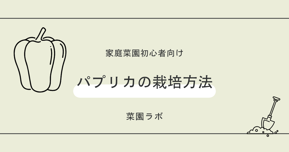 パプリカの栽培方法