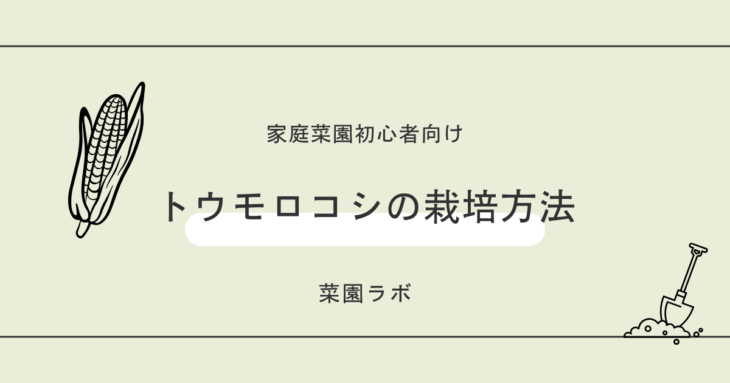 トウモロコシの栽培方法