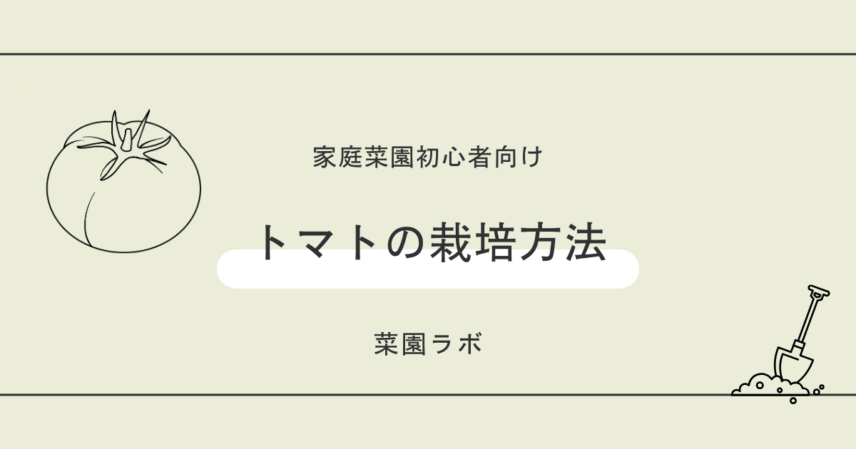 トマトの栽培方法