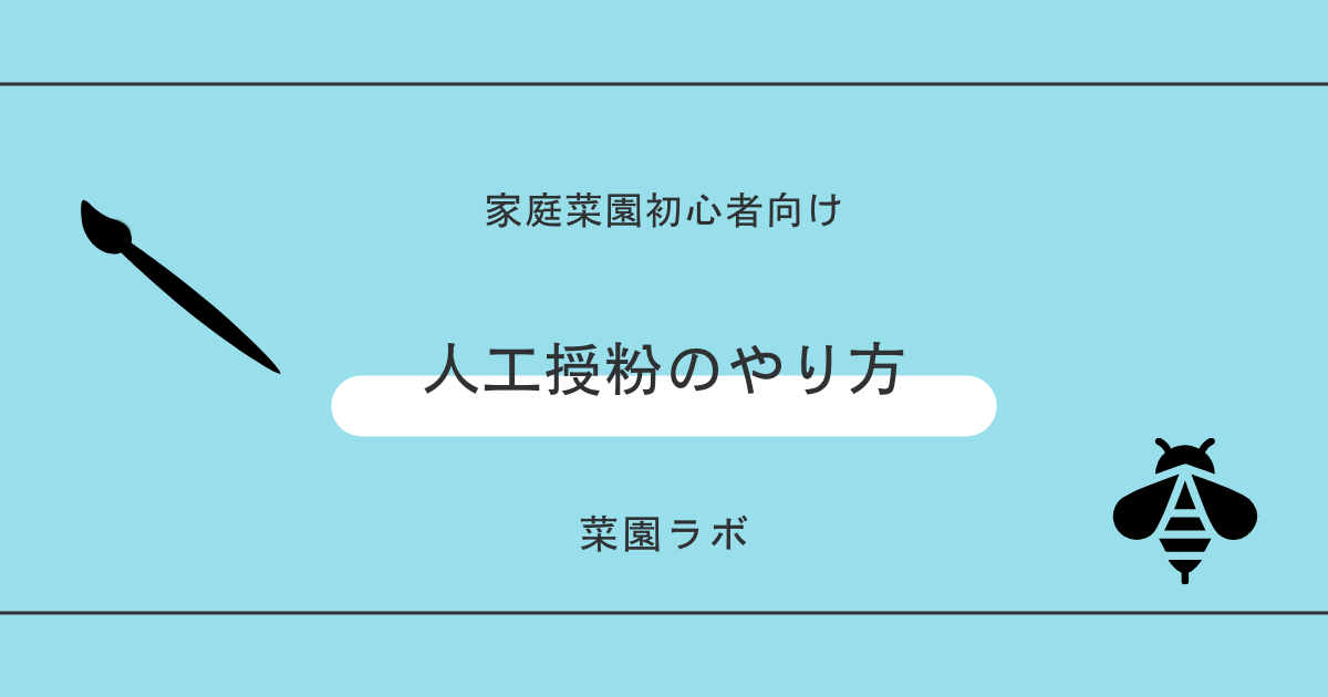 人工授粉のやり方