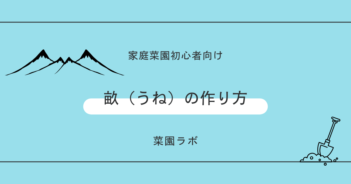 畝（うね）の作り方