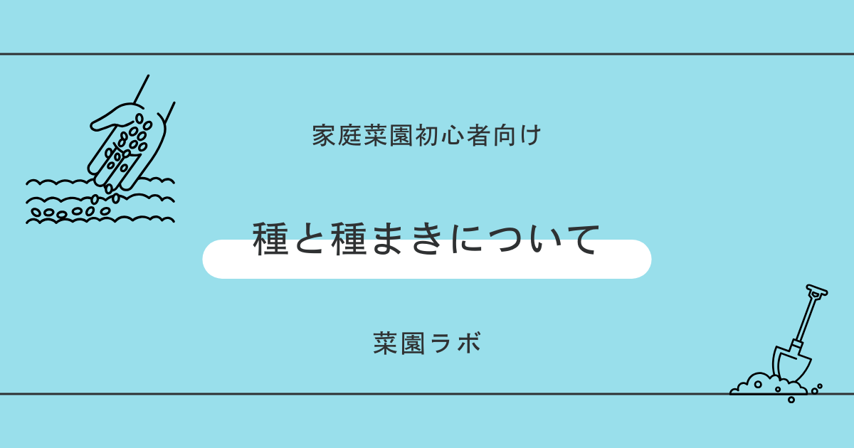 種と種まきについて